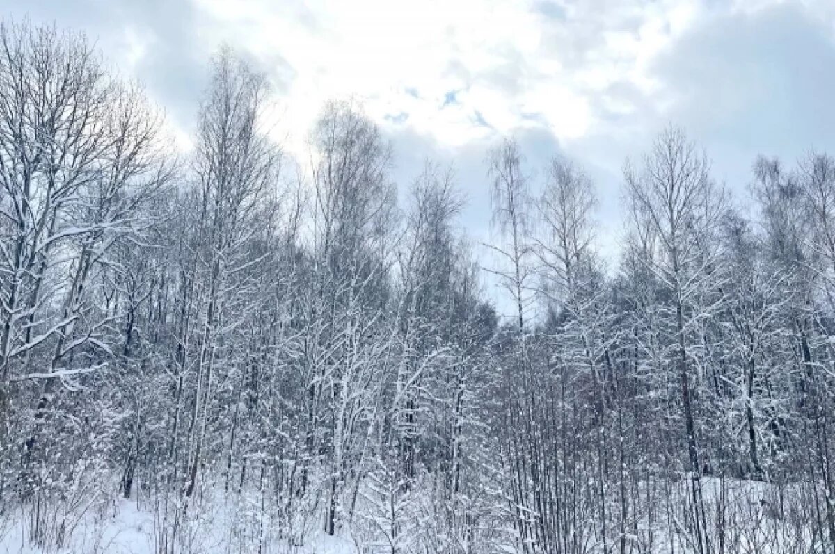    Выяснилось, откуда и как будет двигаться по Тульской области мощный циклон