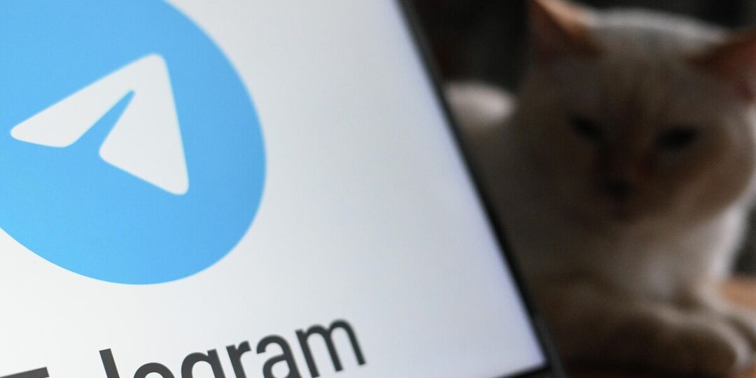 Появилась новая информация по использованию Telegram в зоне СВО