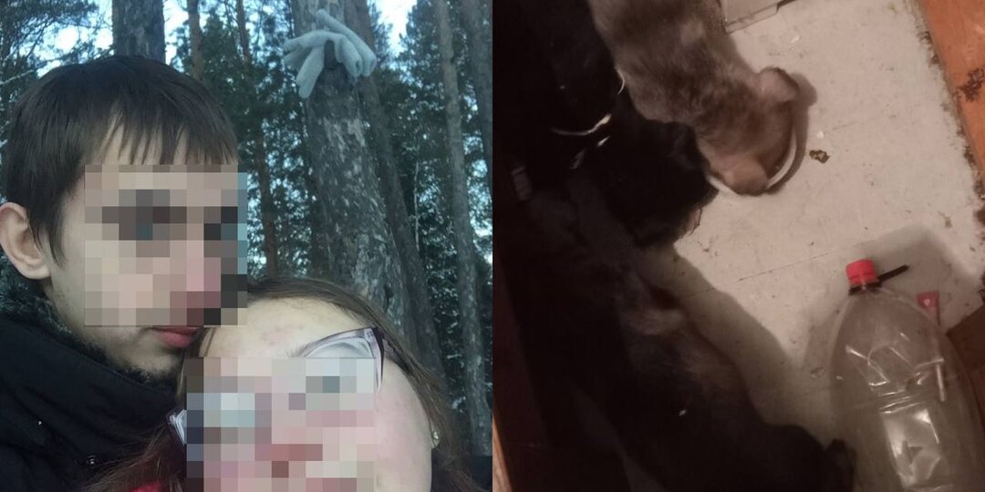 😞 Пара из Красноярска берет у волонтеров животных, которые позже бесследно исчезают