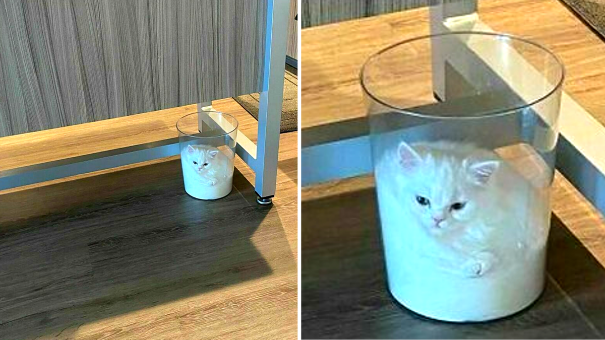 И у нас нет никаких оснований ему не верить!