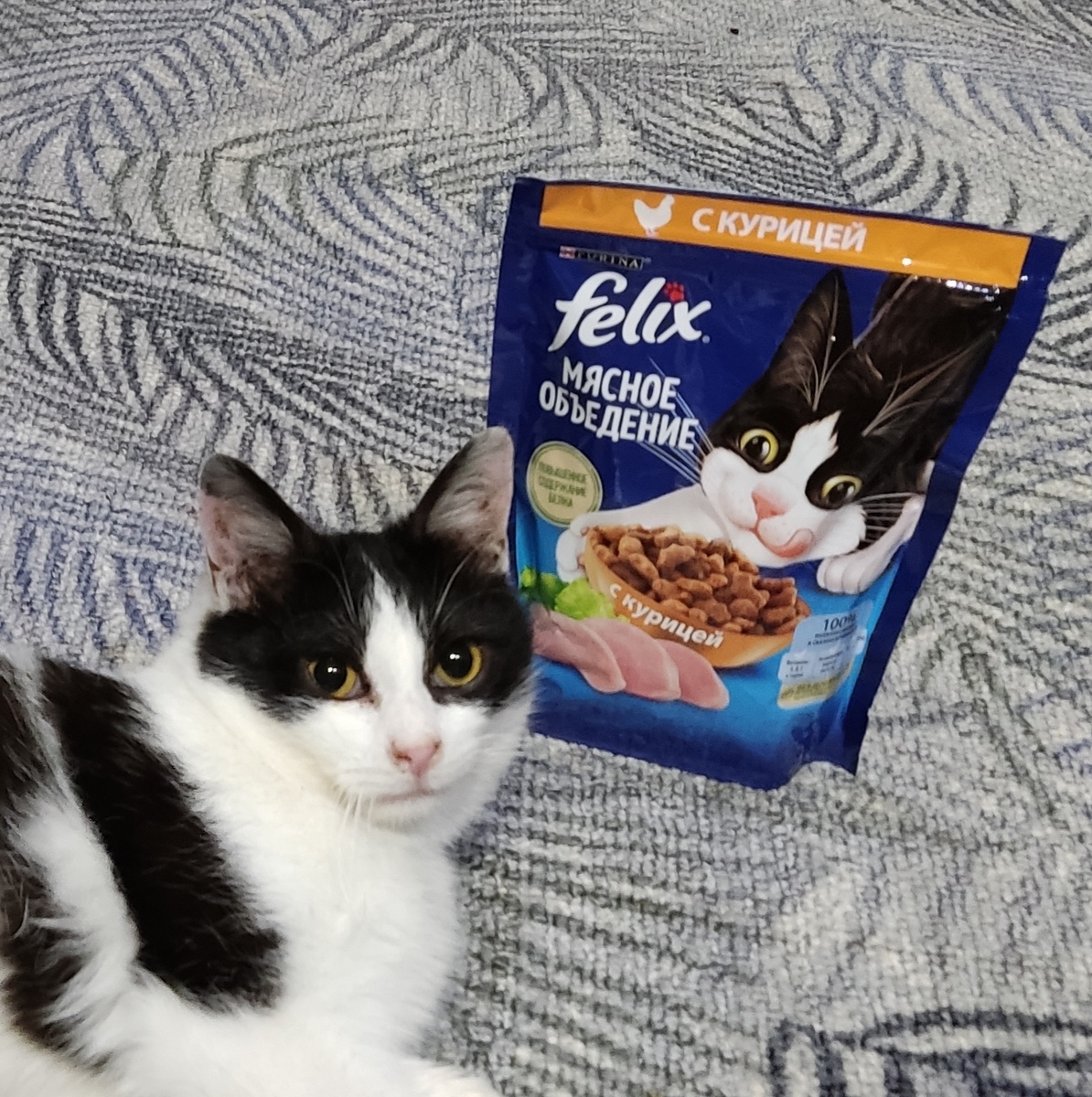 Наглая, (но все равно очень любимая) рекламная морда. Это уже апрель или май