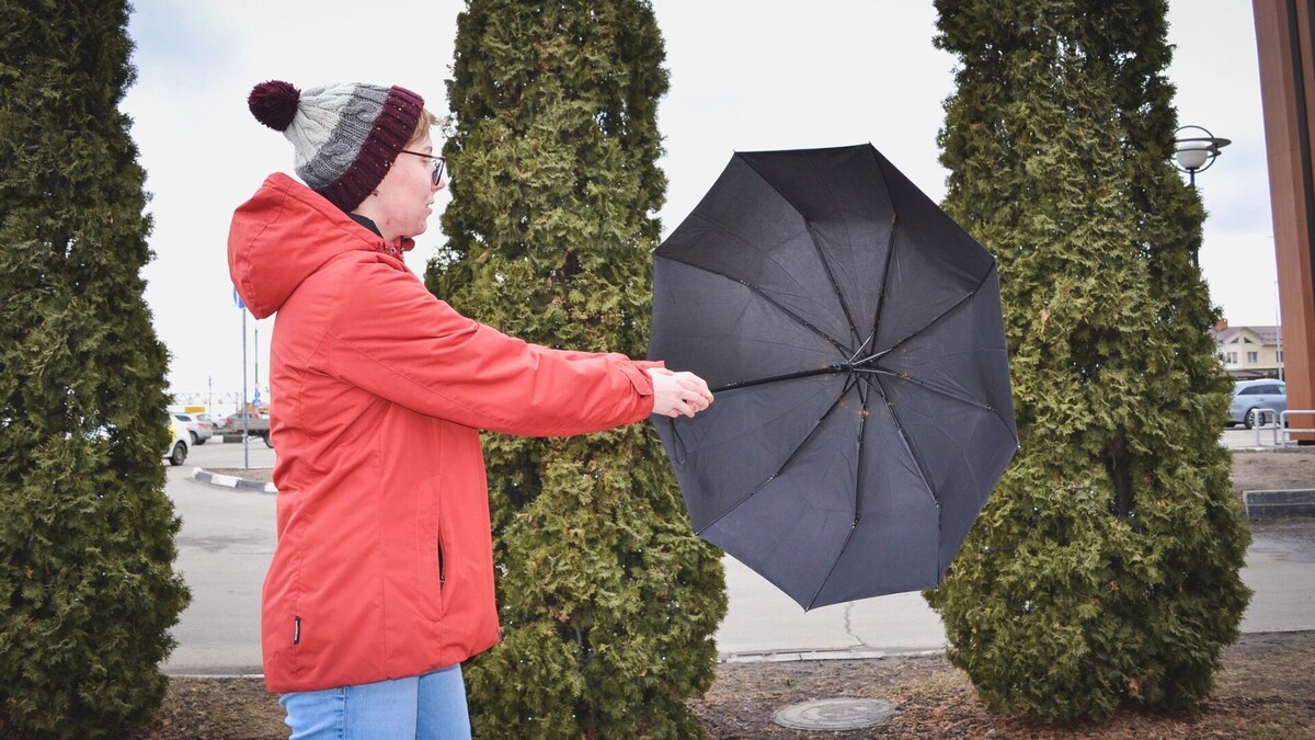    Это нам напоследок? В Ростовской области зима решила устроить сюрприз   1MI