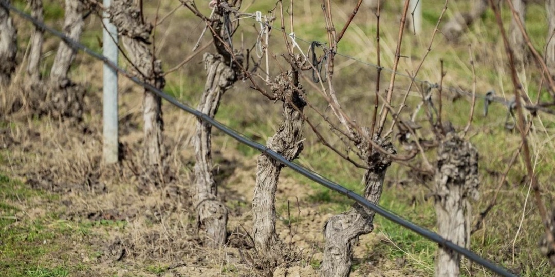 Нашла клад на своем участке, в крымском селе.