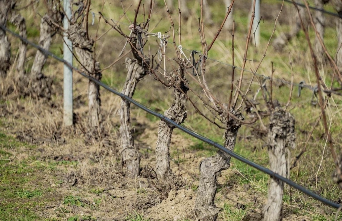 Фото из интернета 