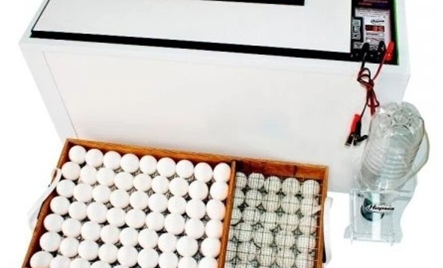 Сломался инкубатор. Что делать?