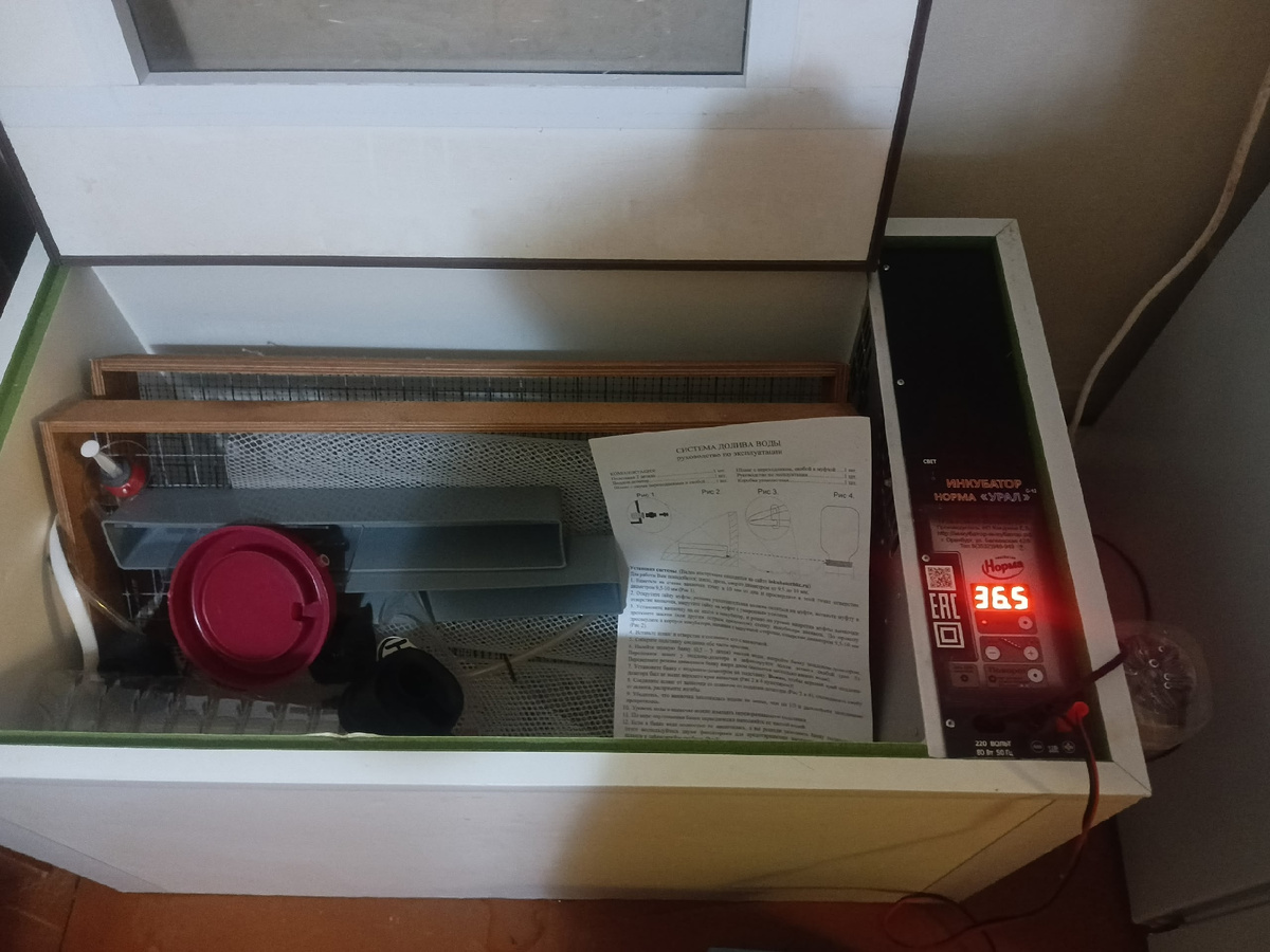 Из личного архива