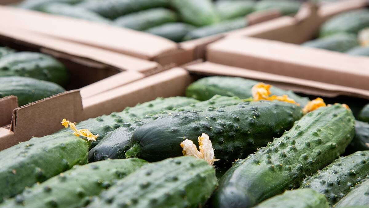    Фото: Shutterstock