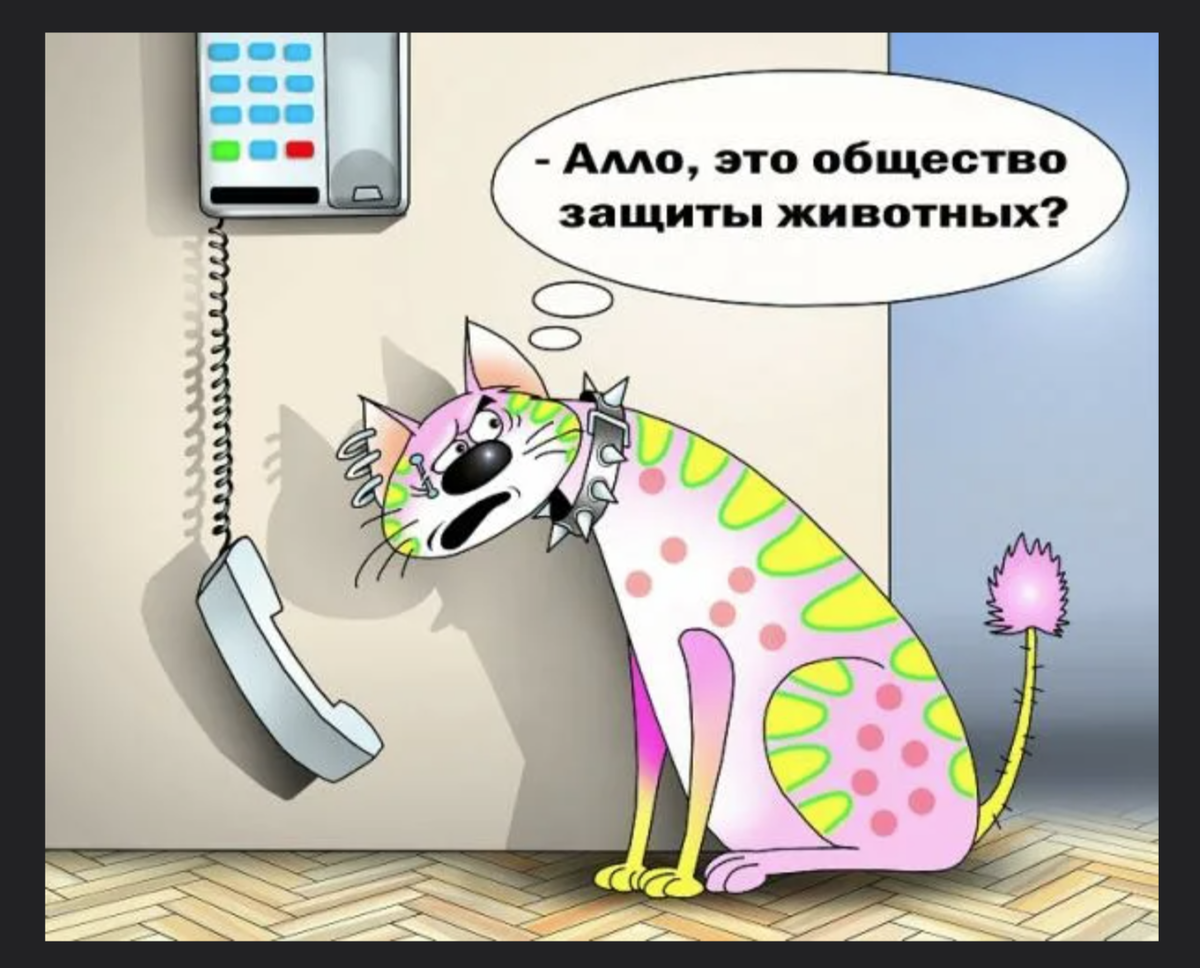 Из всемирной паутины