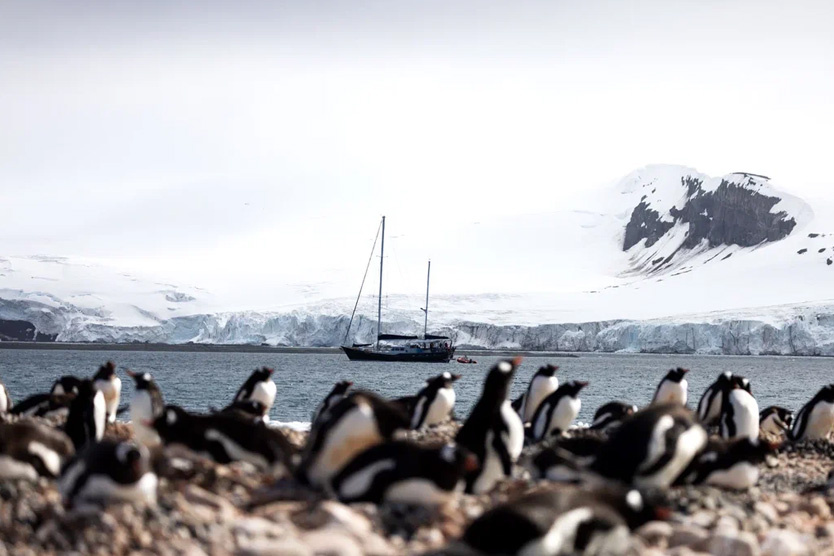     Фото: Саша Герасимов