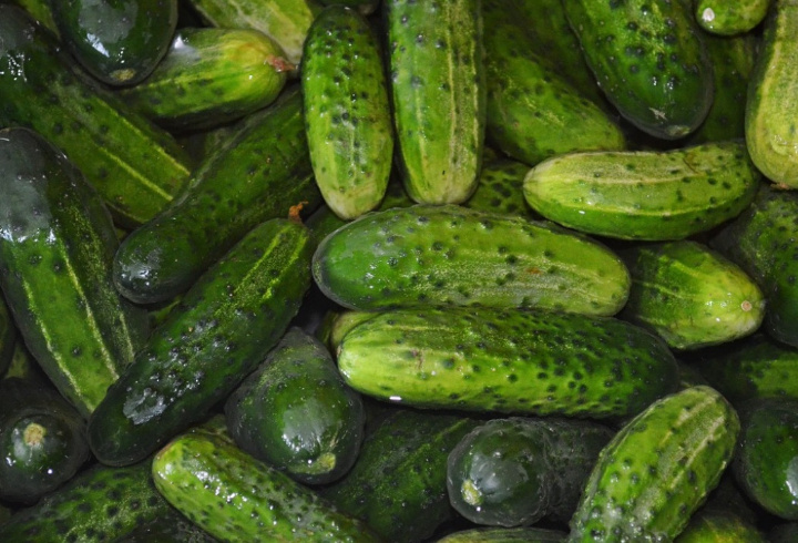 фото: pxhere.com