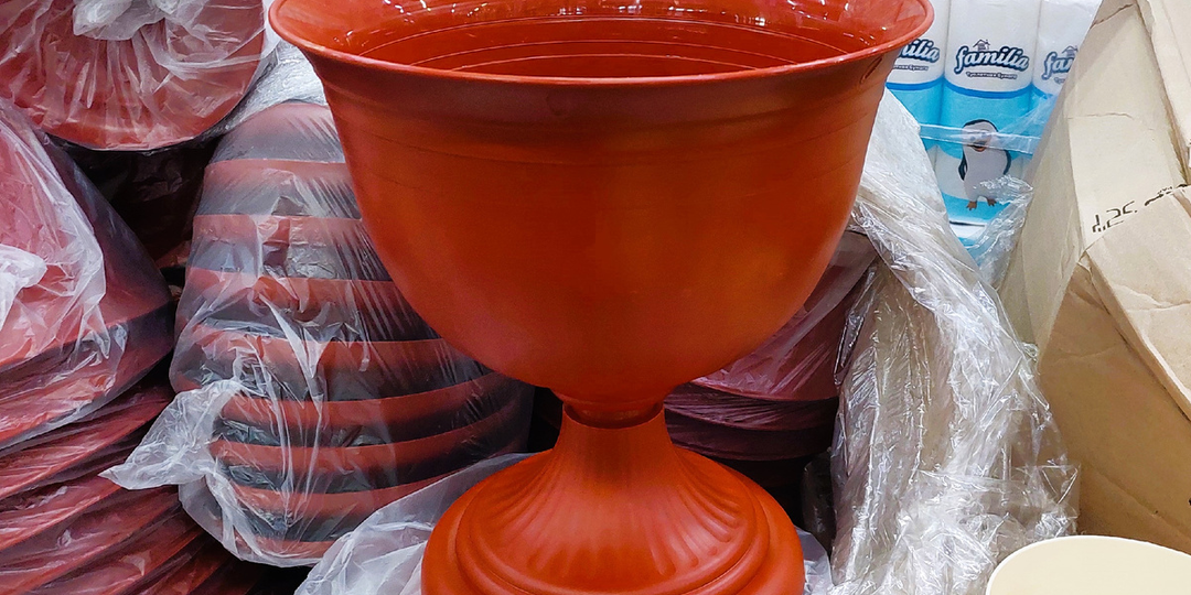 Спешу в Светофор. Там столько новинок и что с ценами? Посуда, коврики, вазоны и жалюзи. Выбираем сорта Роз. Дегустируем копченую горбушу