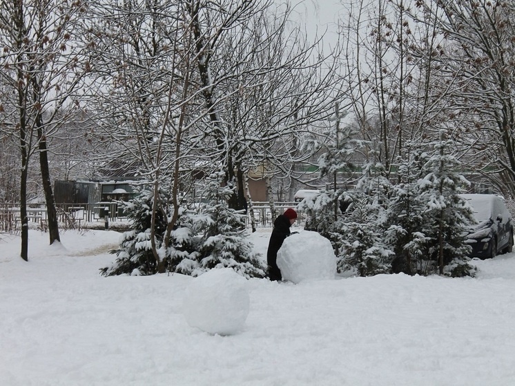     «МК-Кострома»