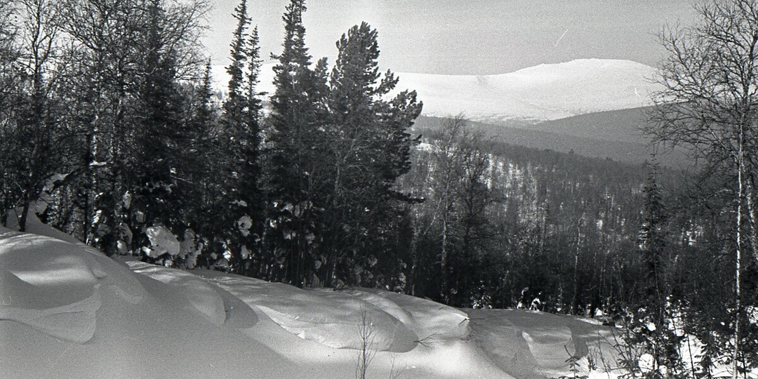 Группа Дятлова : Новости за январь-февраль 2026 г. (продолжение). Кое-что от Карелина