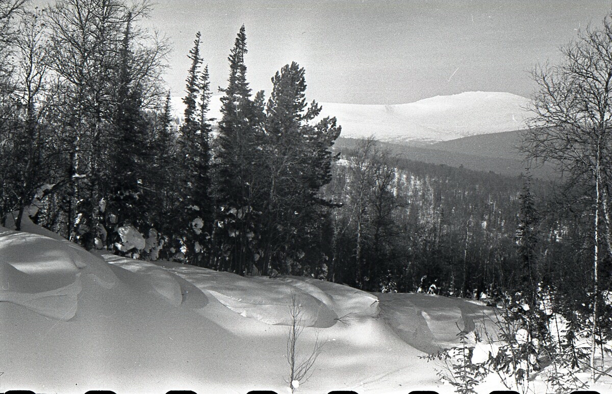 Это, по рассказам участников поисков 1959-го года, надувы на берегу Второго ручья (который дальше за кедром). То, что этот Второй ручей обрывистый, утверждает в каких-то своих роликах и Таймень. А вот как в начале марта того года выглядел Первый ручей ? Фото из открытых источников.