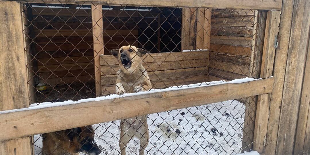 Дорогу осилит идущий. Добрый Четверг.