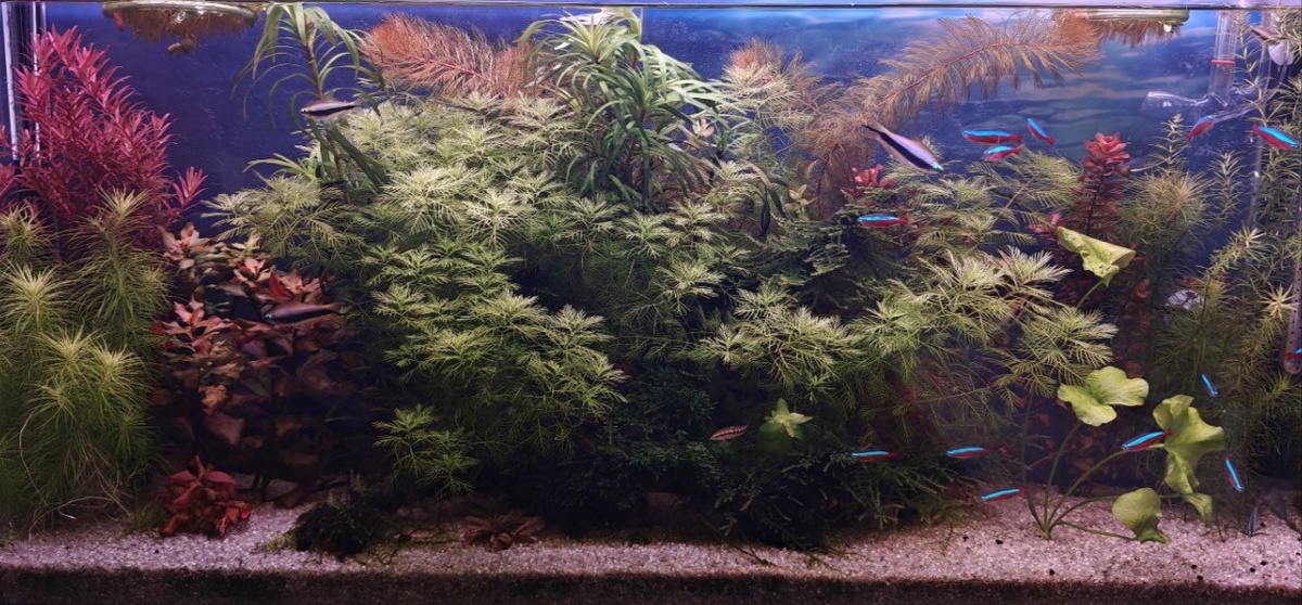 Фото от участника сообщества Эстетика воды 