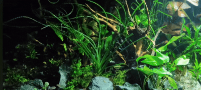 Травник на 440 литров