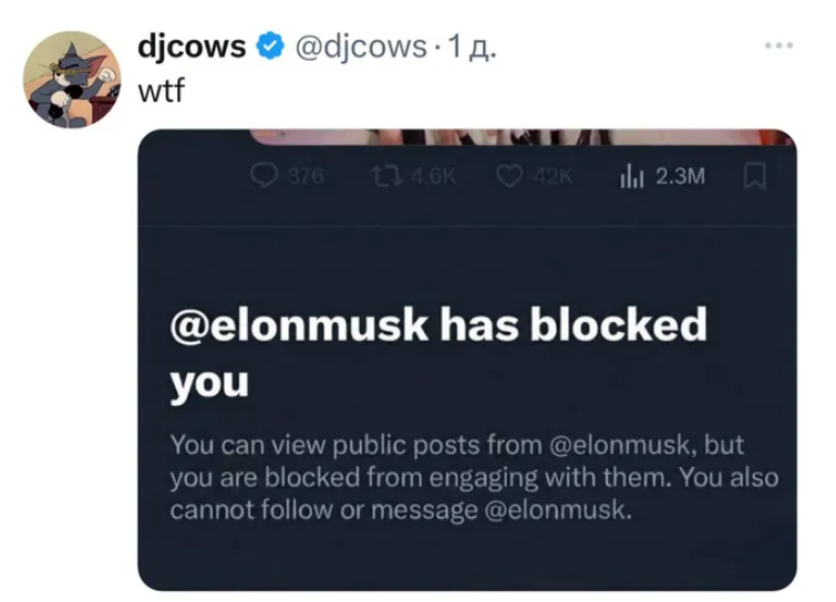 Бан от Илона Маска, источник фото: соцсети