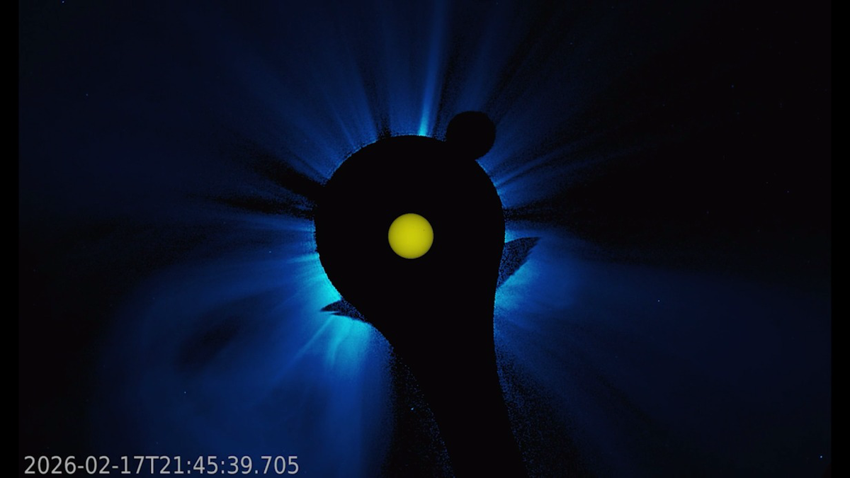    Фото: Скриншот видео / Лаборатория солнечной астрономии (XRAS) / Telegram