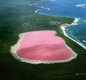 /из доступного фонда Яндекс.Картинки/