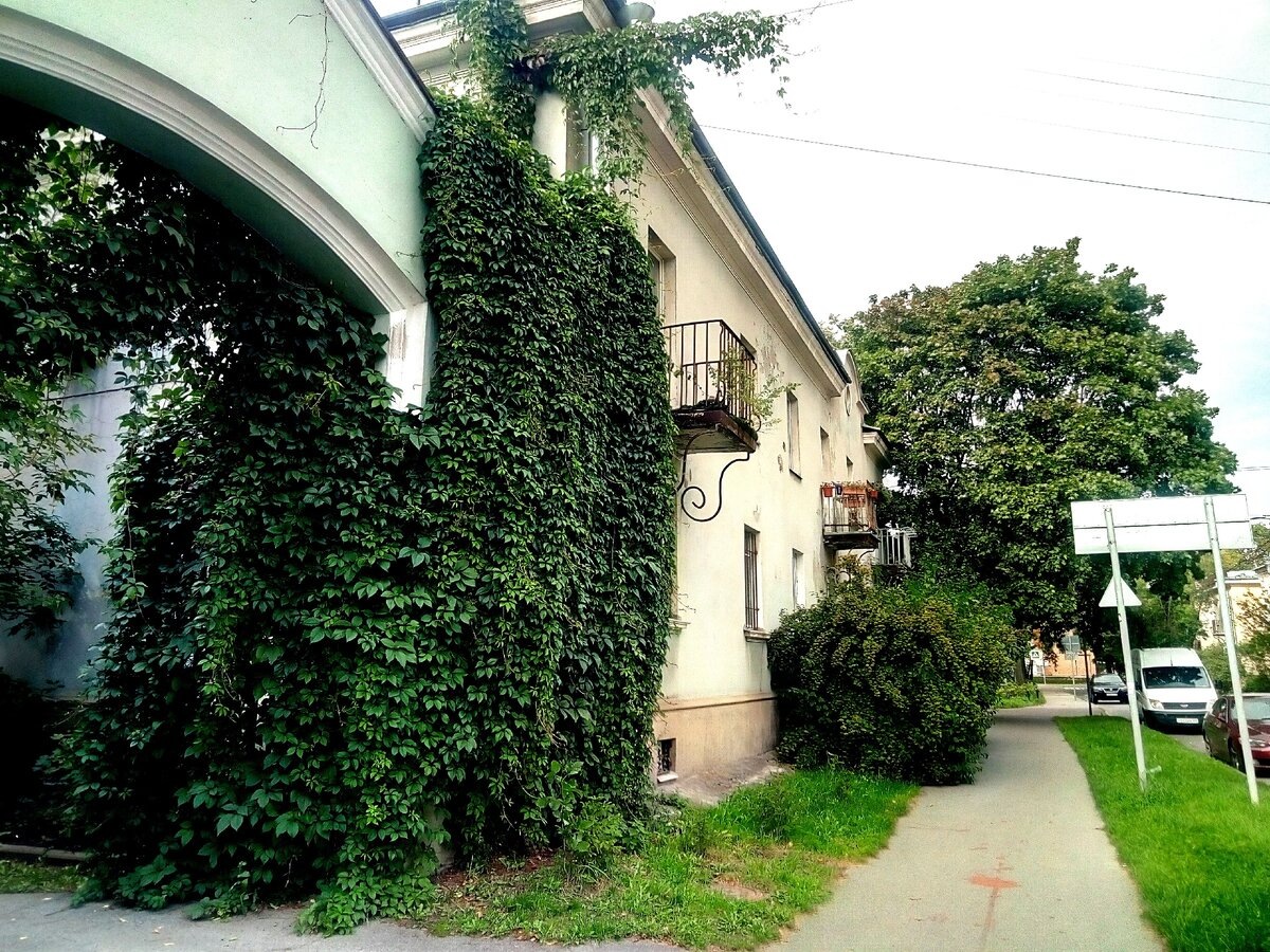 из сети. Улица Дибуновская.