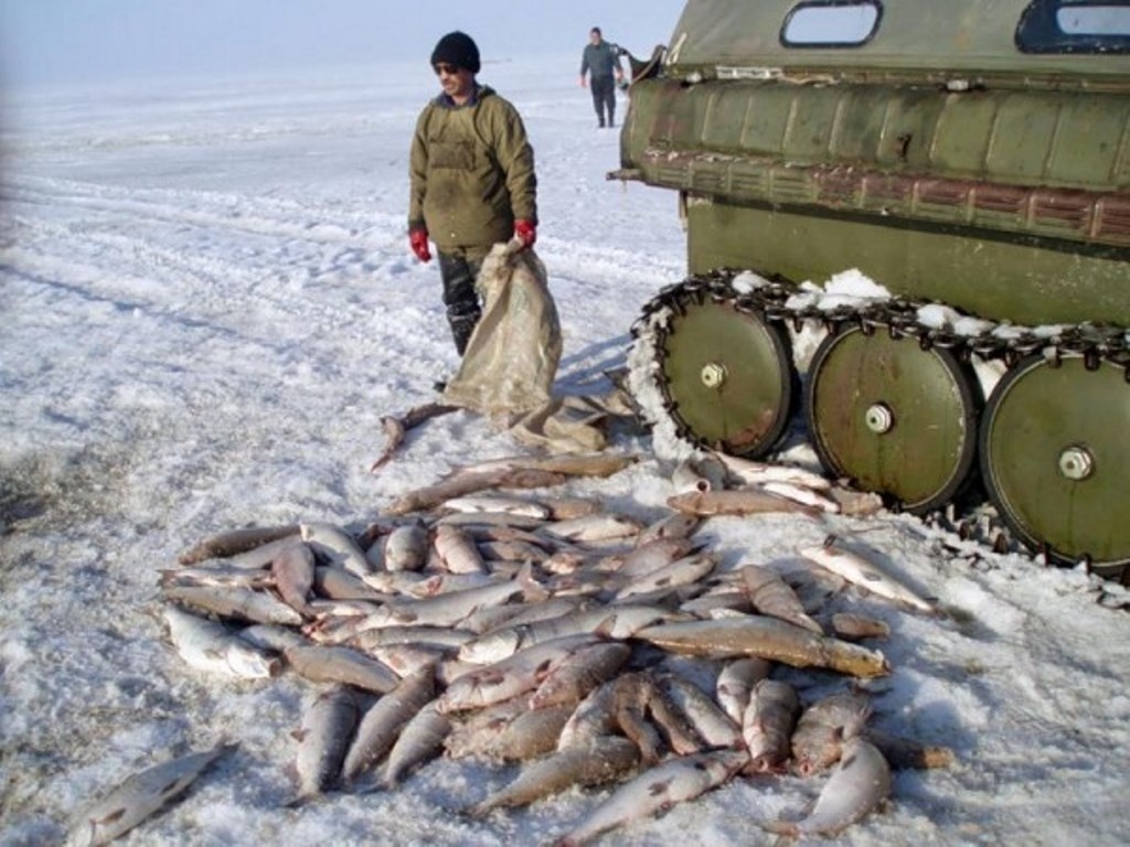 Фото просто для оформления заметки )))