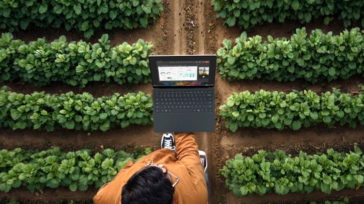 Фото Microsoft  📷
