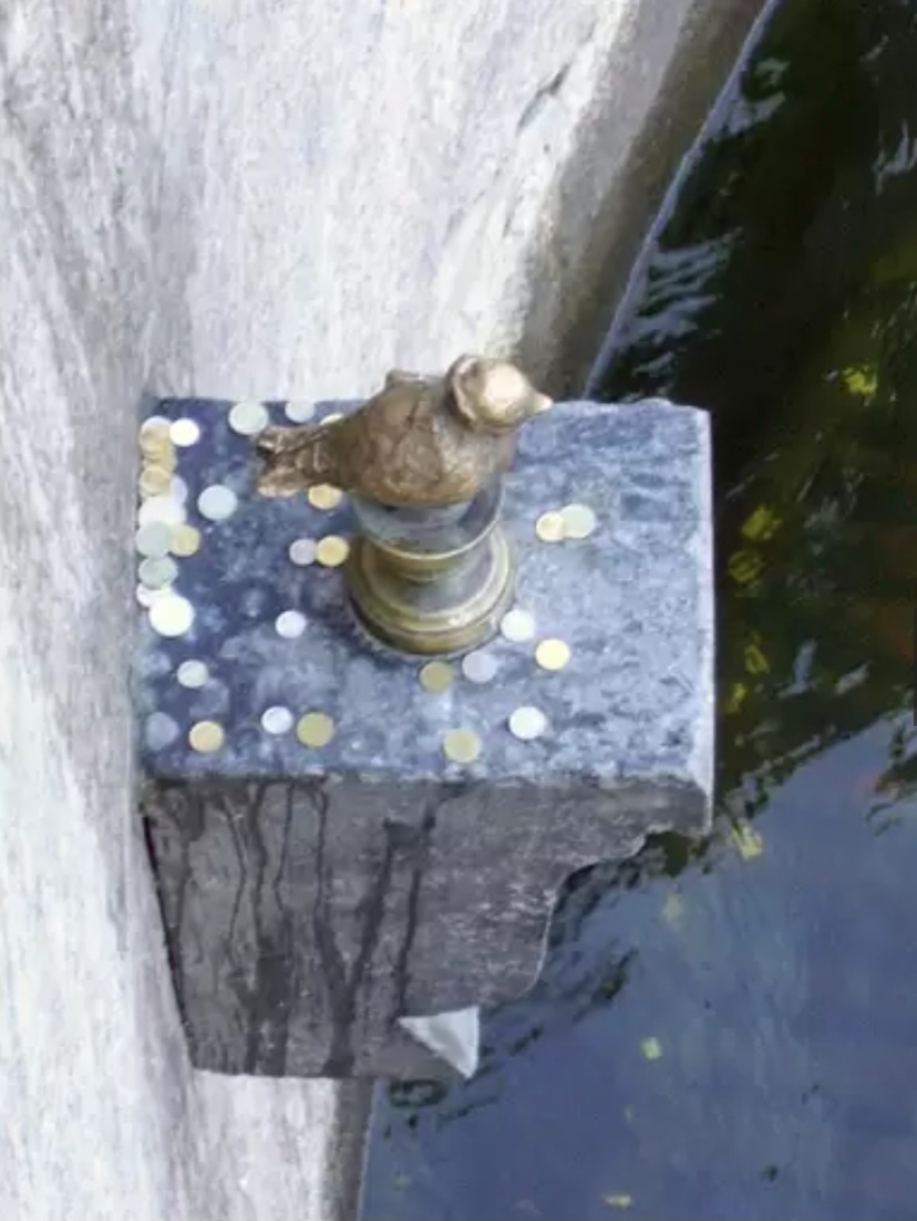 Чижик-пыжик. Санкт-Петербург