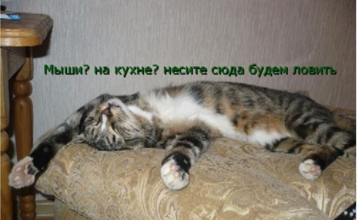 источник Яндекс-картинки