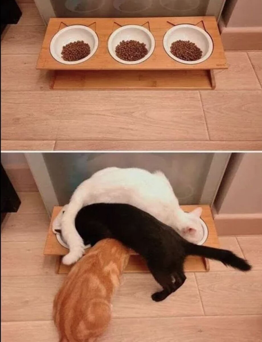 источник Яндекс-картинки