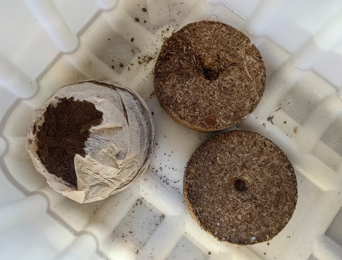 Прошлогодние таблетки.