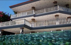 /из доступного источника Яндекс.Картинки/.