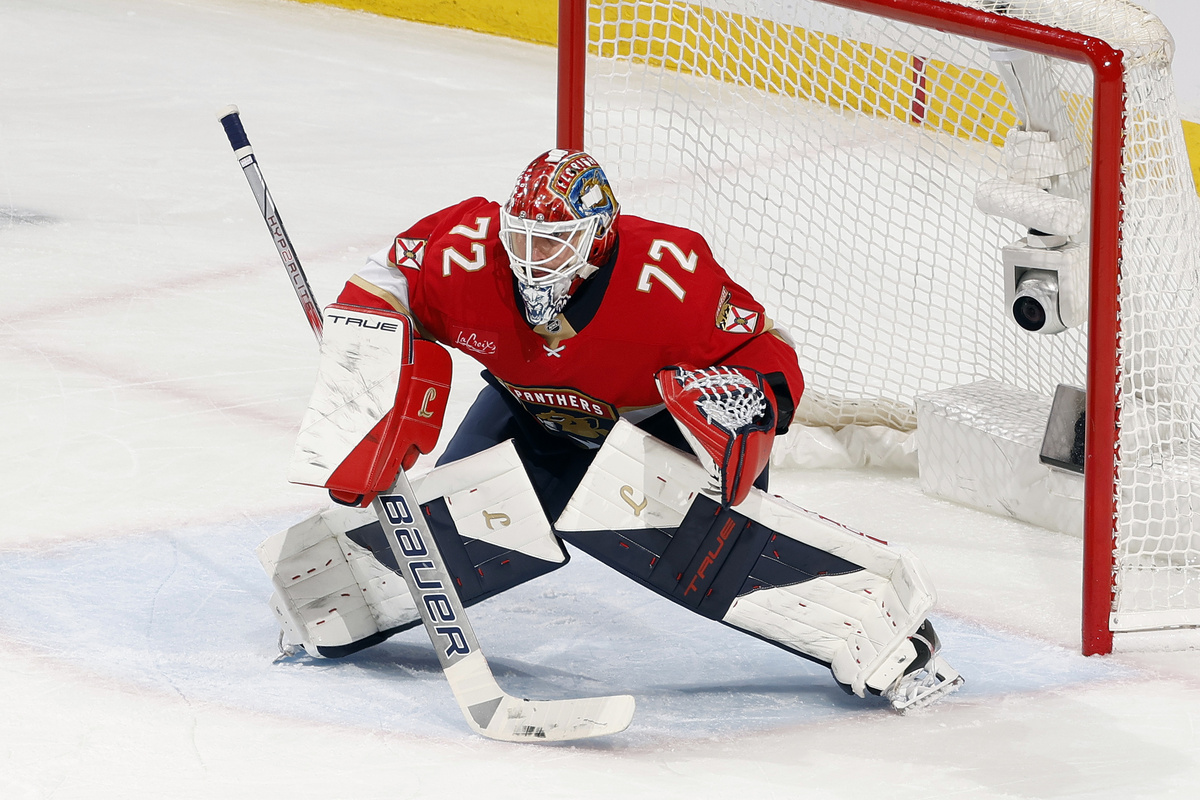     Сергей Бобровский / Joel Auerbach / Getty Images