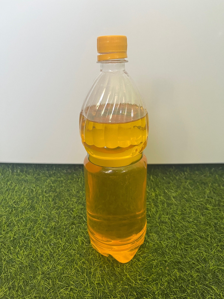     Фото: Марианна Альянова / «МК в Орле»