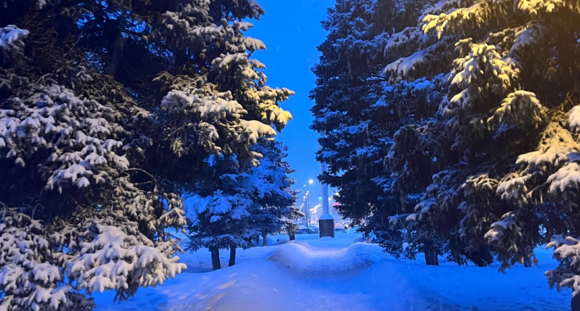    ПроГород