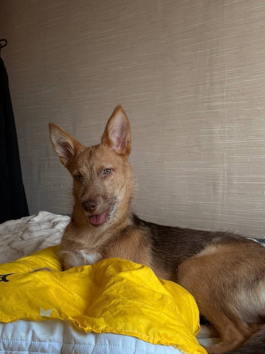 На кроватке дома...