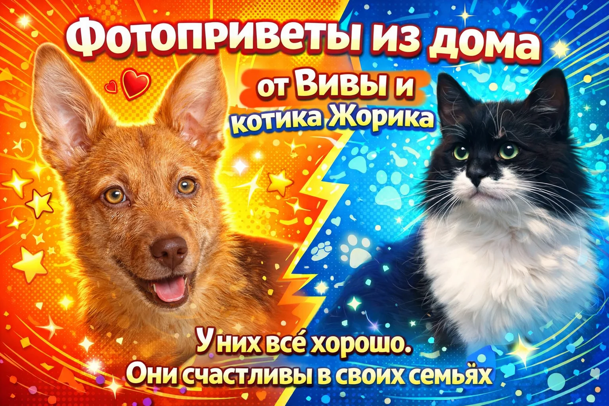 Красавцы оба!