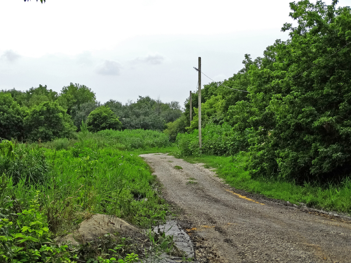Дорога к роднику