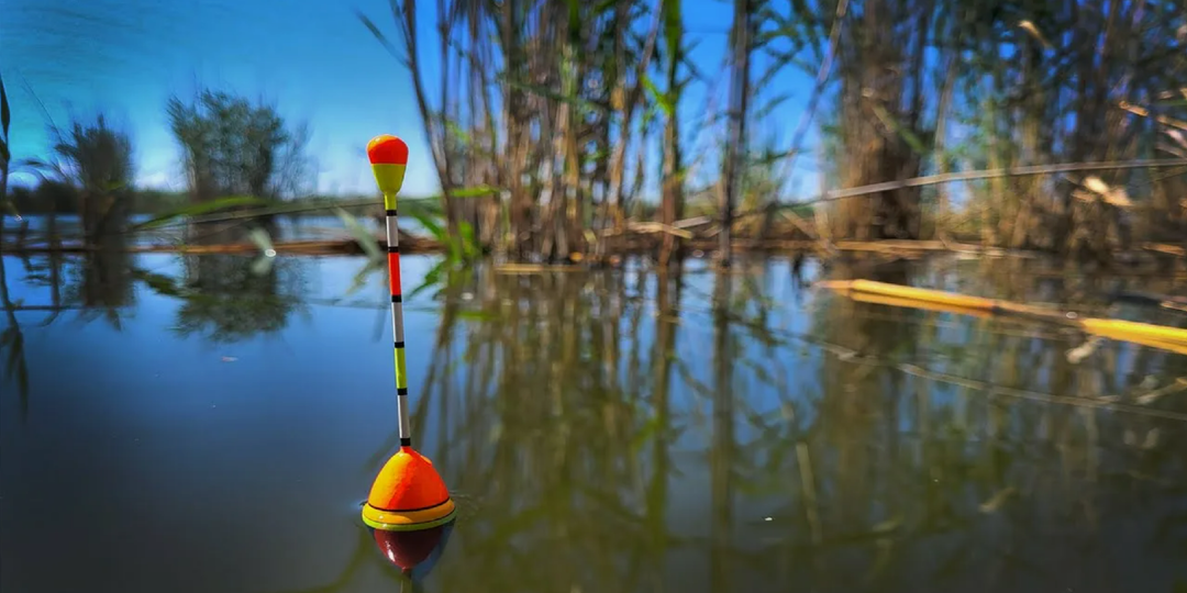 Полный провал вместо клёва? Главная ошибка, которую совершают почти все