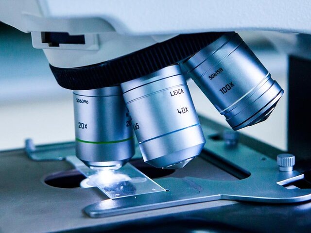    Фото: Москва 24/Лидия Широнина