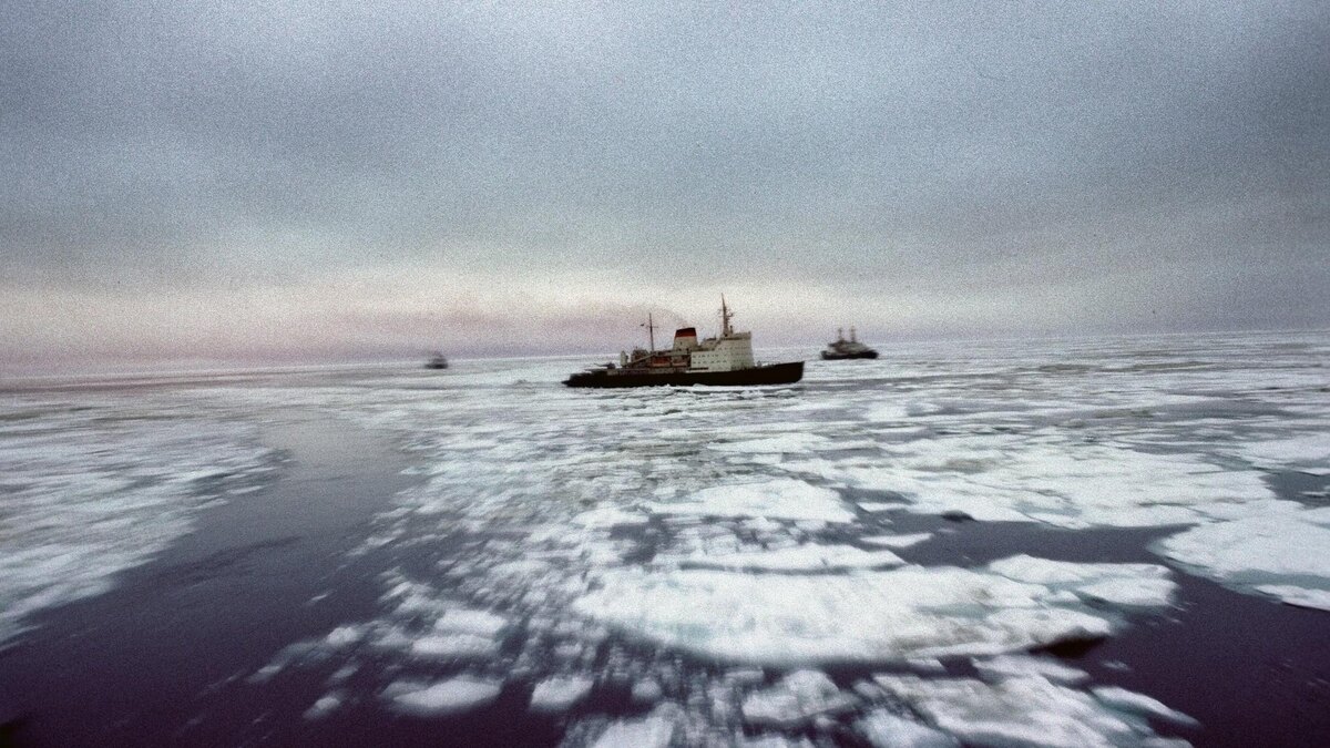    Фото: globallookpress.com/Andrei Solomonov