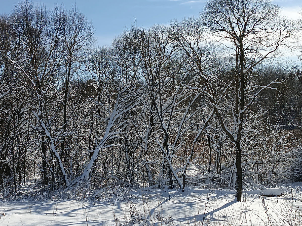 Красивая же? 🤗