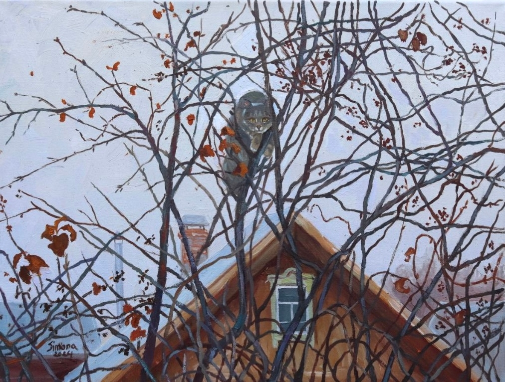 Зима приближается