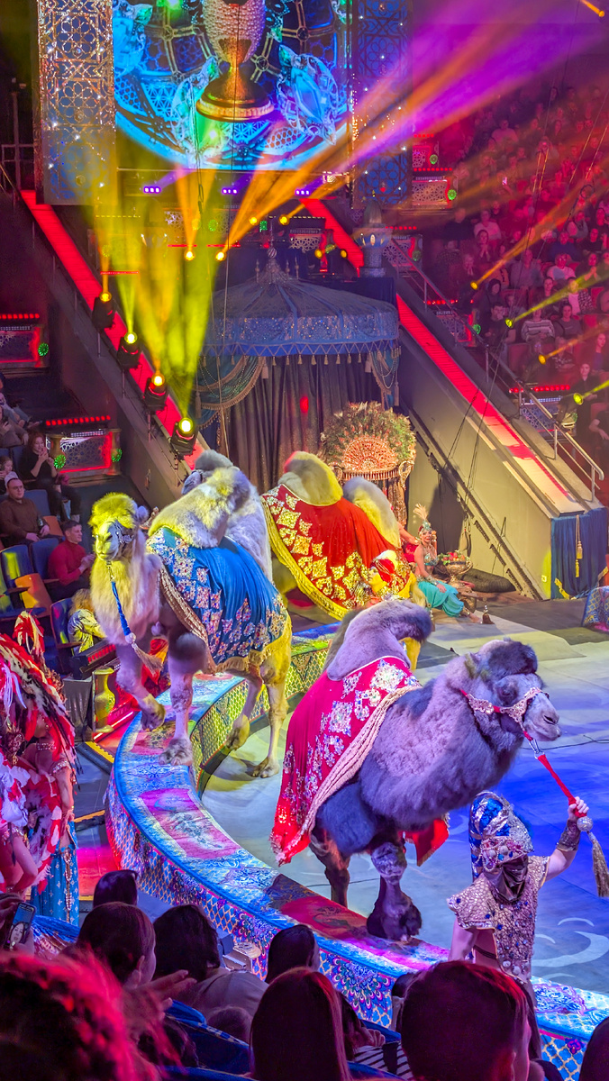 Шоу "Песчаная сказка" 