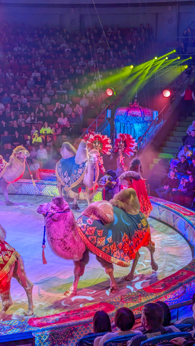 Шоу "Песчаная сказка" 