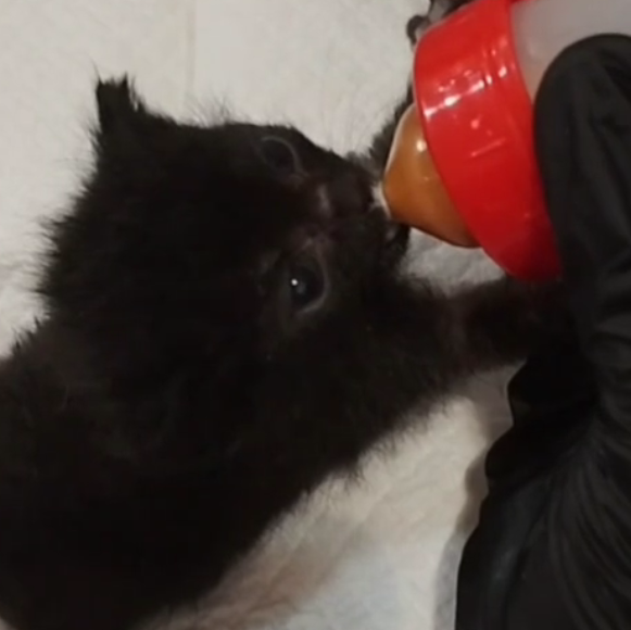 На фото малышка Амена