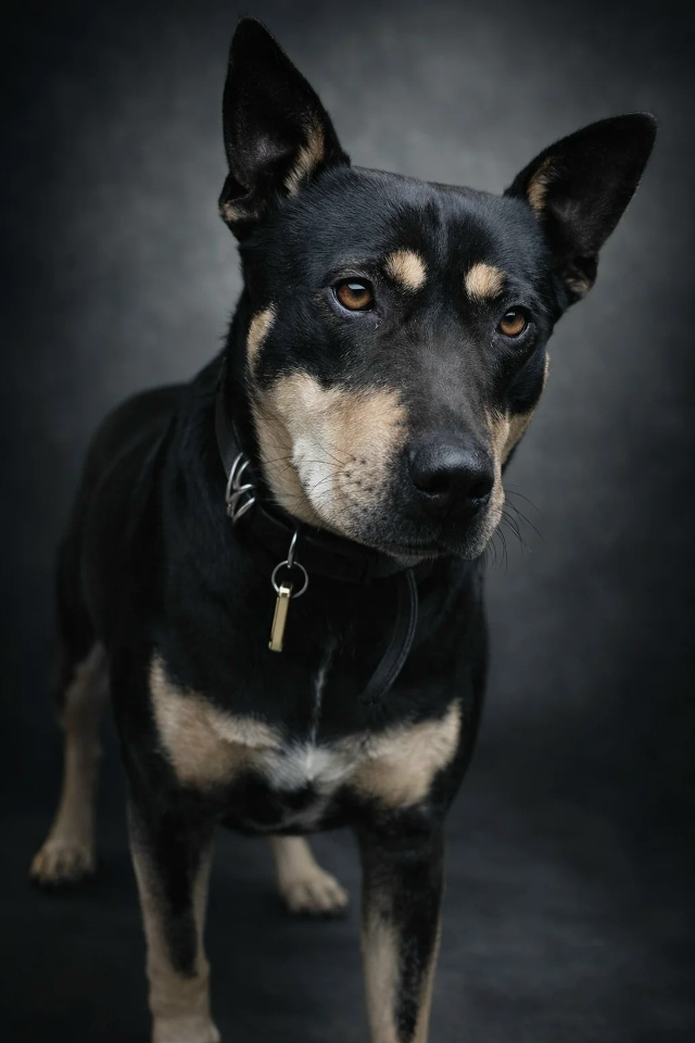 Ждёт маму и папу...