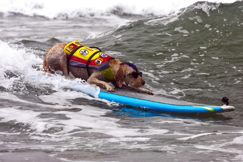    Barbara Munker/dpa/Global Look Press