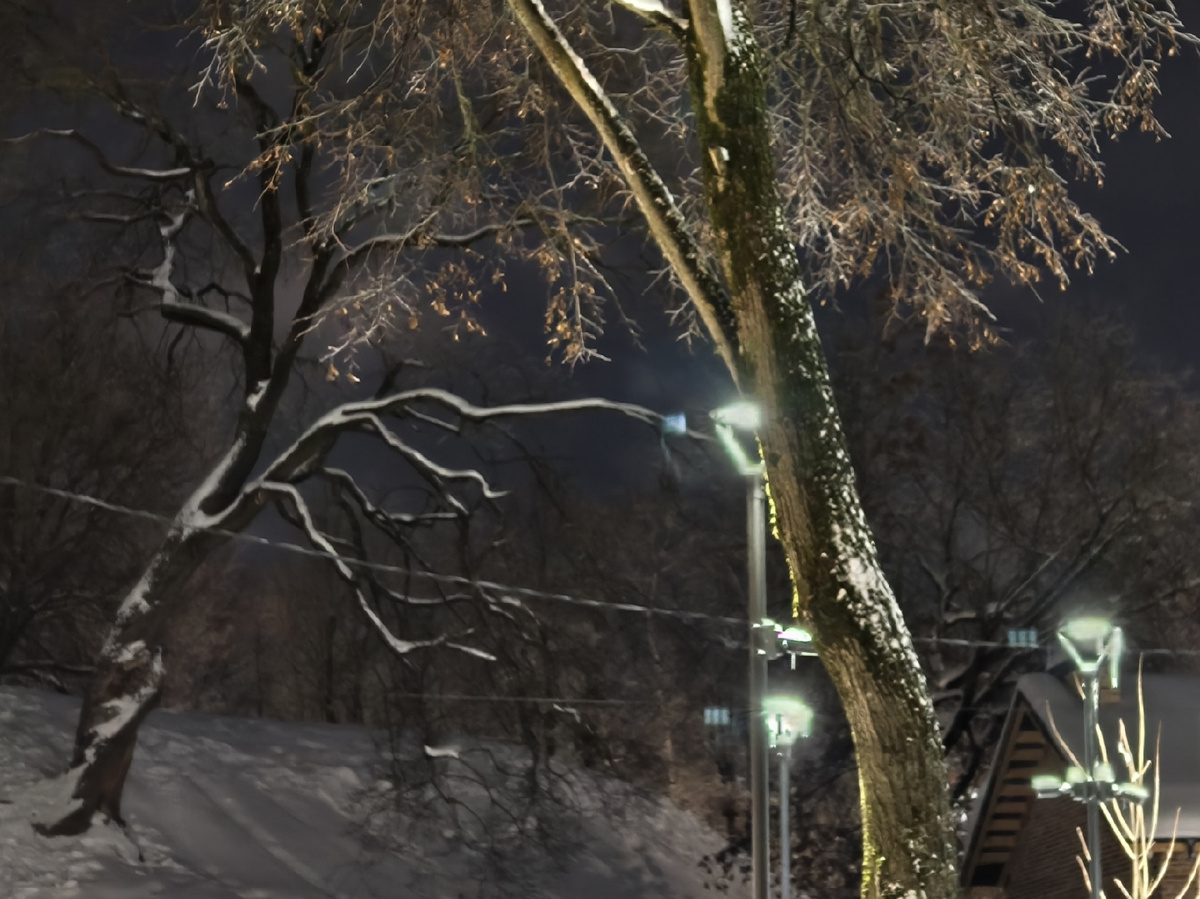 Зимний город