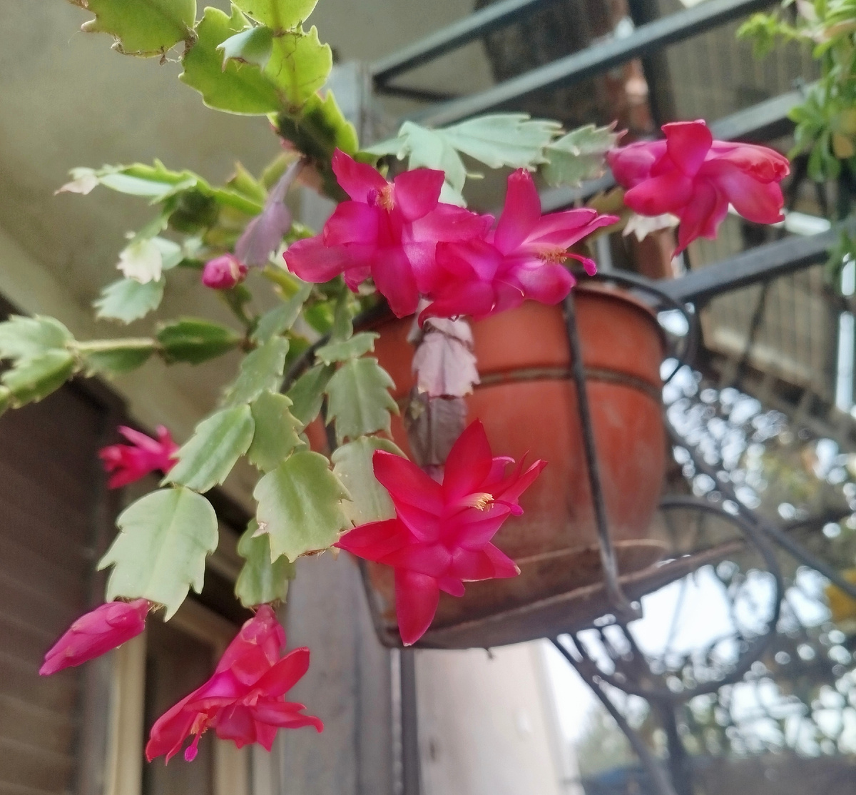 Фото автора. 